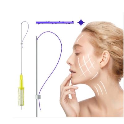 3D 4D 6D PDO Thread Lift Nose Thread Injection Facelift Mono Tornado Screw